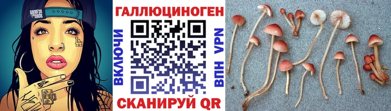 Галлюциногенные грибы мухоморы Цоци-Юрт